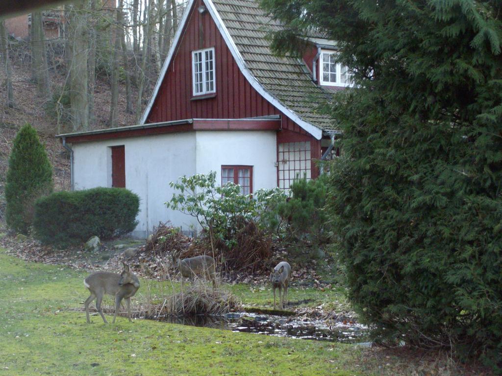 ランダーズ Skovvej Holiday House 1ヴィラ エクステリア 写真